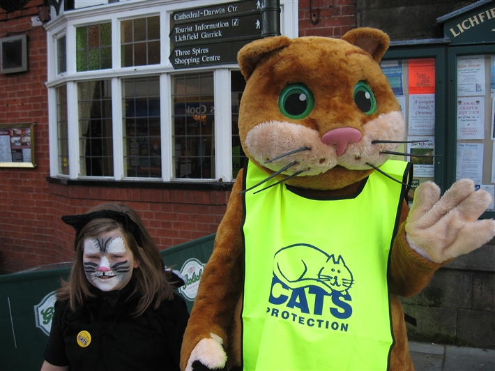 Homer the Cat and Friend at recent event